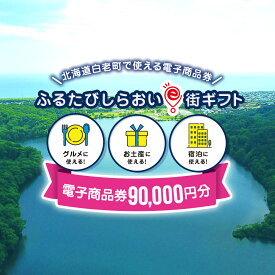 【ふるさと納税】ふるたびしらおいe街ギフト　90,000円分白老町 旅行 北海道旅行 チケット 電子商品券 ふるさと納税 旅行