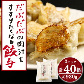 【ふるさと納税】だぶだぶの肉汁をすすりたくなる餃子 40個（20個入×2パック）餃子 肉料理 ぎょうざ ギョウザ 惣菜 北海道ふるさと納税 白老 ふるさと納税 北海道 夏ギフト