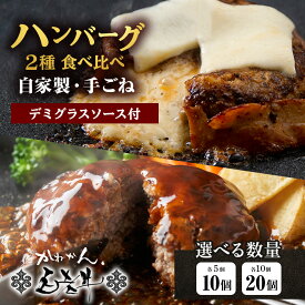 【ふるさと納税】白老牛 2種 食べ比べ ハンバーグ セット 合計10個 Wチーズ・スタンダード 特製ソース 冷凍 牛肉 肉 白老 BY124ビーフハンバーグ 牛肉 加工肉 ハンバーグ 肉料理 惣菜 北海道ふるさと納税 白老 ふるさと納税 北海道