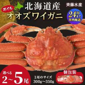 �y�ӂ邳�Ɣ[�Łz�y12��23�����ϊm�蕪�܂ŔN�������z�k�C���Y �I�I�Y���C �I�ׂ�2���`5�� 1��300g�`350g ������2���� �I�I�Y���C �I ���� �J�j �{�C�� AM113�Ⓚ �I�I�Y���C�K�j ���킢�I �p �k