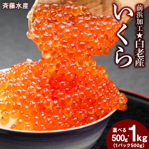 yӂ邳Ɣ[Łz  kC VY OlH Iׂ500g`1kg ēY CN  CY kCӂ邳Ɣ[ V ӂ邳Ɣ[ kC 