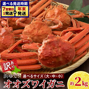 yӂ邳Ɣ[Łz󂠂 IIYCKjIX Iׂ鏬`TCY v2kg l TCY4`5 TCY6`10 TCY8`20 Iׂ锭Ⓚ 󂠂 IIYCKj 킢I I