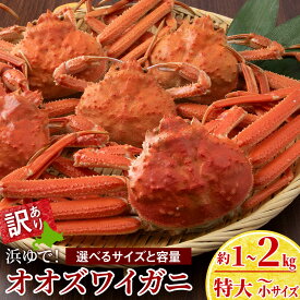 【ふるさと納税】訳あり オオズワイガニオス 選べる小〜特大サイズ 計1kg～2kg 浜ゆで 特大サイズ3尾 大サイズ4〜5尾入 中サイズ3〜10尾入 小サイズ8〜20尾入 選べる発送月冷凍 訳あり オオズワイガニ おおずわい蟹 オオズワイガニ 姿 ボイル ふるさと納税