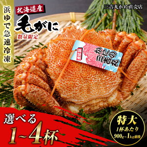 yӂ邳Ɣ[Łzyz kCY Ⓚ{C уKj Iׂ1`4 (1900g-1kgO) I  Jj уKj AS119т уKj ъI I Jj kCӂ邳Ɣ[ V ӂ邳Ɣ[ kC 