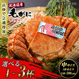 【ふるさと納税】【中サイズ】北海道産 冷凍ボイル毛ガニ 選べる1尾～3尾 (1尾540g-580g前後) 蟹 かに カニ 毛ガニ AS183毛がに 毛ガニ 毛蟹 蟹 カニ 北海道ふるさと納税 白老 ふるさと納税 北海道 年末