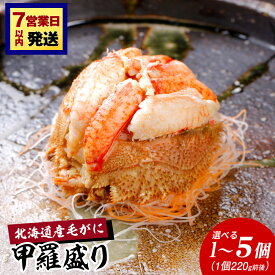 【ふるさと納税】【浜ゆで】北海道産毛ガニ甲羅盛り 選べる1個〜5個（1個220g前後）甲羅盛り 毛がに 毛ガニ 毛蟹 ケガニ 毛かに 毛カニ 蟹 カニ 北海道ふるさと納税 白老 ふるさと納税 北海道 年末