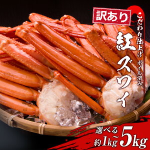 yӂ邳Ɣ[Łz 󂠂 gYCIr {CⓀ Iׂ1kg`5kgi1kg 3`6j Mtg v[g  Jj kC  BM169킢 YCKj 킢I 킢Kj YC 