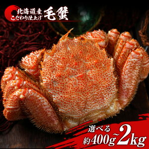 yӂ邳Ɣ[ŁzъI {Cς Ⓚ Iׂ1`5Zbg 1400g BM247{C т уKj ъI {C I Jj kCӂ邳Ɣ[ V ӂ邳Ɣ[ kC N