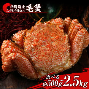yӂ邳Ɣ[ŁzъI {Cς Ⓚ Iׂ1`5Zbg 1500g BM299{C т уKj ъI {C I Jj kCӂ邳Ɣ[ V ӂ邳Ɣ[ kC N