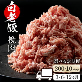 【ふるさと納税】【選べる定期便】北海道産 白老豚 挽肉 300g×10パック BV040挽肉 加工肉 ミンチ 豚肉 白老豚 白老 北海道 北海道ふるさと納税 白老 ふるさと納税 北海道