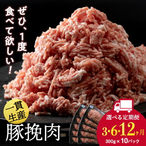 yӂ邳Ɣ[ŁzyIׂցzkCY V ғ 300g×10pbN BV040ғ H ~` ؓ V V kC kCӂ邳Ɣ[ V ӂ邳Ɣ[ kC
