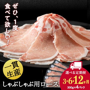 yӂ邳Ɣ[ŁzyIׂցzkCY V [X Ԃԗp 300g×4pbN BV049[X [X ؃[X ؓ V V kC kCӂ邳Ɣ[ V ӂ邳Ɣ[ kC