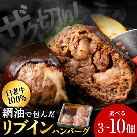【ふるさと納税】白老牛 中おちプレミアムハンバーグ （リブインハンバーグ） 選べる3個〜10個 【かねかん】ビーフハンバーグ 牛肉 加工肉 ハンバーグ 肉料理 惣菜 中落 カルビ 網油包み 北海道ふるさと納税 白老 ふるさと納税 北海道