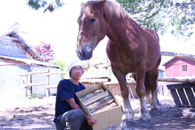 【ふるさと納税】＜馬の林業＞西埜馬搬の北海道ナラ薪20kg