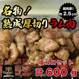 【ふるさと納税】塩コロジンギスカン 計600g（300g×2パック）《厚真町》【有限会社市原精肉店】 ジンギスカン 羊肉 ラム 焼肉用 味付き 小分け 冷凍配送 北海道[AXAA001]