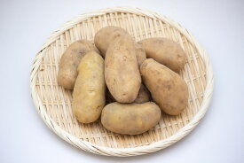 【ふるさと納税】【2025年10月中旬発送予定】令和7年厚真町産！メークイン厚真ファームのこだわりじゃがいも「メークイン」10kg《厚真町》【(株)厚真ファーム】[AXAE002]