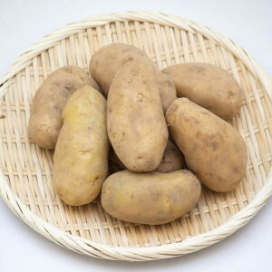 yӂ邳Ɣ[Łzy2026N10{\z s\ kC ^t@[̂肶Ⴊ [NC10kgs^ty()^t@[zߘa8NY WKC   [AXAE002] 8000 8