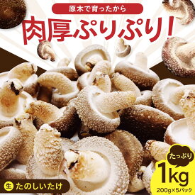 【ふるさと納税】【予約受付中】 原木 生しいたけ 1kg（200g×5パック）《厚真町》【株式会社きたい】 生 しいたけ 椎茸 きのこ キノコ 小分け 北海道 [AXAI001]
