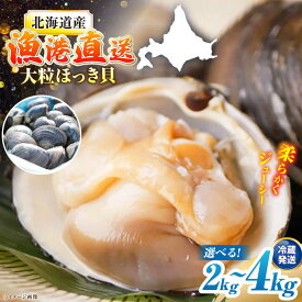 【ふるさと納税】厚真町近海で獲れた 活ほっき貝 2～4kg《厚真町》【鵡川漁業協同組合】 ほっき ほっき貝 ホッキ ホッキ貝 北寄貝 海鮮 冷蔵配送 北海道 [AXAL003/AXAL005/AXAL006]