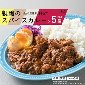 【ふるさと納税】親鶏のスパイスカレー 5個セット（辛口）《厚真町》【テンアール株式会社】 カレー スパイスカレー 辛口 鶏 鶏肉 平飼い 冷凍配送 北海道 [AXAN009] 10000 10000円