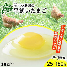 【ふるさと納税】小林農園の平飼いたまご・無投薬 25個〜160個から選べる《厚真町》【テンアール株式会社】 たまご 卵 鶏卵 玉子 生卵 平飼い ひらがい 北海道 [AXAN011]