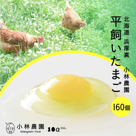 【ふるさと納税】こだわりの無投薬・平飼い有精卵 160個《厚真町》【テンアール株式会社】 たまご 卵 鶏卵 玉子 生卵 平飼い 北海道 定期便 [AXAN034]