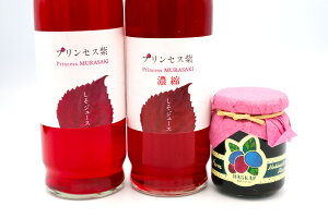 yӂ邳Ɣ[Łz^̂ꂳÂW[XihXg[gEhZk 500ml×e1{j&y_nXJbvWZbgs^tyÂO[vȂz  h W[X