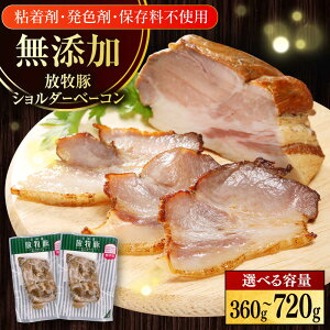 yӂ邳Ɣ[Łzq V_[x[R eʑIׂI360g`720gs^t@yt@[}[Yt@Ng[Ёz[AXBA114/AXBA115] Y x[R ubN ܂   Hi BBQ 