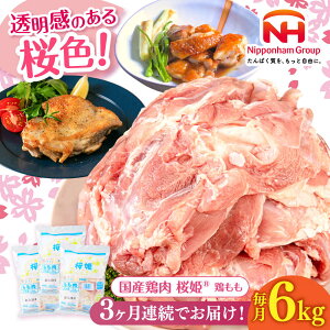 yӂ邳Ɣ[ŁzP { 2~6kg eʁE͂񐔑IׂIs^ty{t[hЁz P Y{ { { Ƃ   { Ⓚ kC փg  [AXBM02