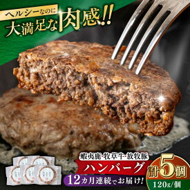 【ふるさと納税】【全12回定期便】 【蝦夷鹿×牧草牛×放牧豚】ハンバーグ 3～15個 《厚真町》【GOODGOOD株式会社】 ハンバーグ 卵不使用 鹿肉 牛肉 豚肉 ジビエ 小分け 冷凍 北海道 [AXBP017/AXBP021/AXBP033/AXBP037]