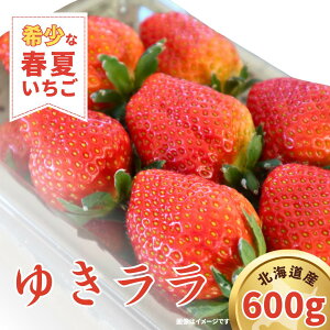 yӂ邳Ɣ[Łzys\ 2026N5IztăC`Su䂫vv600g y΂₵_z[AXBT002] t Ă  C`S kC