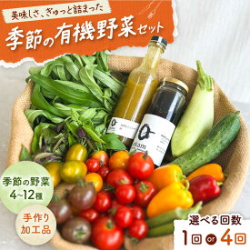 【ふるさと納税】「季節の有機野菜セット」2〜3人分 《厚真町》 【ekam】[AXBV007]