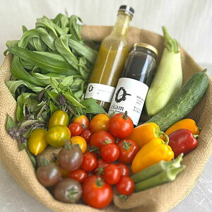 yӂ邳Ɣ[ŁzuG߂̗L@؃Zbgv2`3l s^t yekamz[AXBV007]