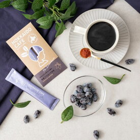 【ふるさと納税】HOKKAIDO CAFE 厚真ハスカップ珈琲 2本入り《厚真町》【パウダーフーズフォレスト株式会社】 コーヒー 珈琲 ハスカップ カフェ パウダー インスタントコーヒー 北海道 [AXBY003] 4000 4000円