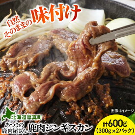 【ふるさと納税】鹿肉ジンギスカン 計600g（300g×2パック）[AXCK009]