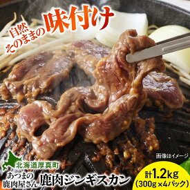 【ふるさと納税】鹿肉ジンギスカン 計1.2kg（300g×4パック）[AXCK010]