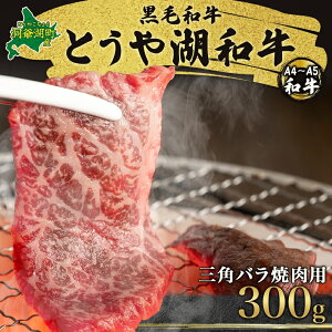 yӂ邳Ɣ[ŁzkC ƂΘa Opo Ăp 300g јa јa ~ Jr a Y A4N ̘a uh    Â ē BBQ ƂΔ_Ƌg 