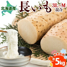 【ふるさと納税】北海道産 長いも 秋冬出荷 約5kg 2025年11月中旬～2026年3月下旬お届け 長芋 ながいも とろろ 農作物 野菜 新鮮 根菜 新物 山かけ 産地直送 お取り寄せ 送料無料 冷蔵 北海道 洞爺湖町　お届け：2025年11月中旬～2026年3月下旬まで