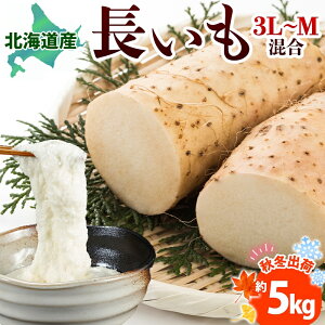 yӂ邳Ɣ[ŁzkCY  H~o 5kg 2025N11{`2026N3{͂  Ȃ Ƃ _앨  VN  V R Yn   ① kC 