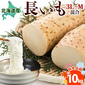 【ふるさと納税】北海道産 長いも 秋冬出荷 約10kg 2025年11月中旬～2026年3月下旬お届け 長芋 ながいも とろろ 農作物 野菜 新鮮 根菜 新物 山かけ 産地直送 お取り寄せ 送料無料 冷蔵 北海道 洞爺湖町 　お届け：2025年11月中旬～2026年3月下旬まで