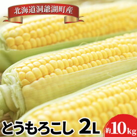 【ふるさと納税】とうもろこしサイズ2L 約22本 約10kg、発泡氷詰め ※8月下旬より順次出荷 とうもろこし 季節野菜 トウモロコシ 旬 夏 とうきび 野菜 先行予約　【野菜・とうもろこし】　お届け：2024年8月21日～9月2日まで