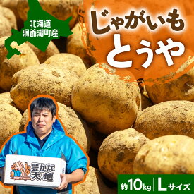 【ふるさと納税】北海道産 青野農園 じゃがいも とうや Lサイズ 約10kg 北海道 ジャガイモ トウヤ 馬鈴薯 ばれいしょ ポテト 芋 いも イモ 黄色 旬 野菜 農作物 産地直送 お取り寄せ 送料無料　【 国産 】　お届け：2024年10月初旬から12月中旬まで