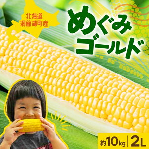 yӂ邳Ɣ[ŁzkCY _ ߂ S[h 2LTCY 10kg st 2026N8{o XC[gR[ kC Ƃ낱 gERV R[ b { ̂ VN  