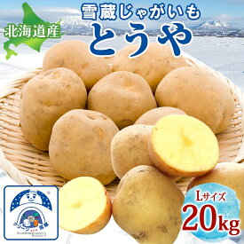 【ふるさと納税】雪蔵じゃがいも 20kg とうやLサイズ 2026年3月上旬～3月末までお届け ジャガイモ 芋 甘い なめらか しっとり ポタージュ カレー 調理 料理 煮込み料理 雪蔵 旬 季節 農作物 野菜 根菜 北海道 洞爺湖町 　お届け：2026年3月上旬～3月末まで