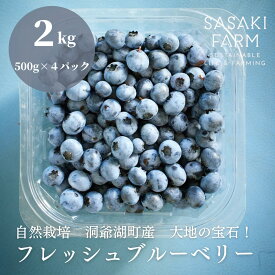 【ふるさと納税】北海道 洞爺湖町産 フレッシュ ブルーベリー 500g 4パック 計2kg 7月25日から順次お届け お届け 北海道産 ブルーベリー 果物 果実 フルーツ 新鮮 国産 ベリー 農作物 お取り寄せ 冷凍 長期 保存 送料無料　お届け：7月20日頃～8月13日頃まで順次出荷