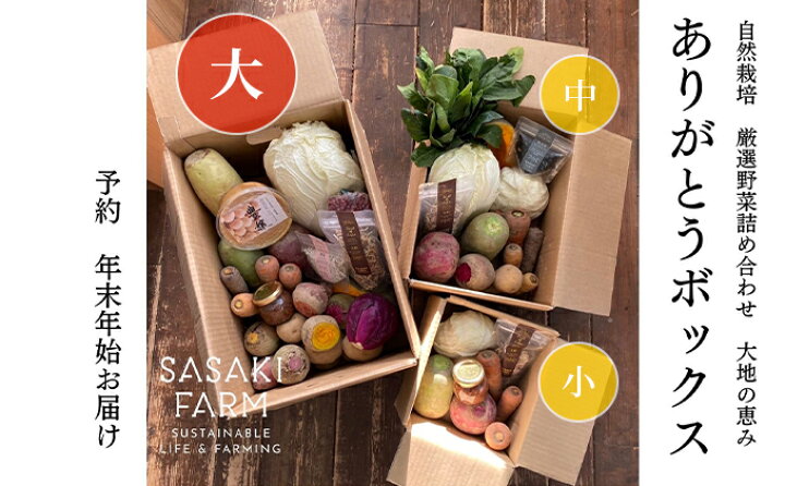 楽天市場】【ふるさと納税】旬の野菜詰め合わせ ～ありがとうBOX2025 