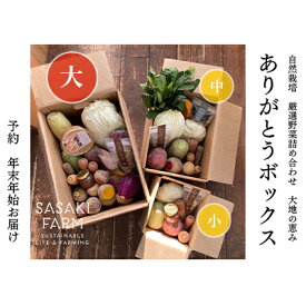 【ふるさと納税】旬の野菜詰め合わせ ～ありがとうBOX2025・大～ 12月1日～1月31日頃お届け 北海道 野菜 やさい 詰め合わせ セット 北海道産 常備菜 加工品 自然栽培 佐々木ファーム 産地直送 洞爺湖町　お届け：2025年12月1日～2026年1月31日まで