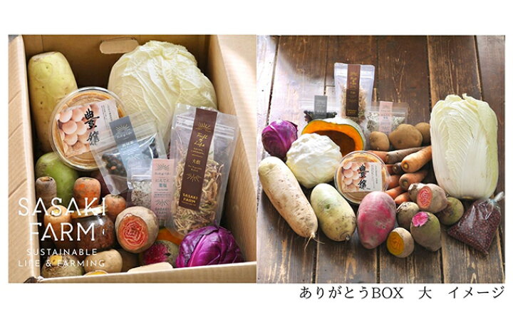 楽天市場】【ふるさと納税】旬の野菜詰め合わせ ～ありがとうBOX2025 