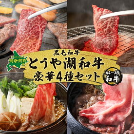 【ふるさと納税】とうや湖和牛豪華セット　＜4品お届け＞　【定期便・ 牛肉 お肉 肉 和牛 国産牛 北海道 洞爺湖和牛 焼肉 バーベキュー キャンプ すき焼き 和牛詰め合わせ 和牛セット 肩バラ 牛モモ 三角バラ 肩ロース 】