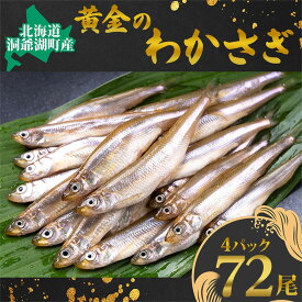 【ふるさと納税】洞爺湖町産 黄金のわかさぎ 20尾×4P 計80尾 北海道産 ワカサギ わかさぎ 川魚 魚介類 産地直送 冷凍 お取り寄せ グルメ 料理 天ぷら フライ とうやマルシェ 北海道 洞爺湖町